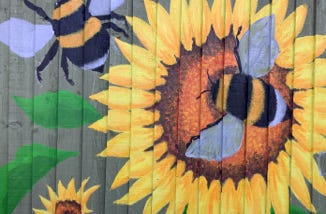 Sunflowers and Bumblebees painted on a garden fence